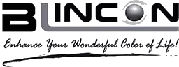 BLINCON logo